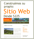 Incluye Sitio Web, Hosting y Dominio por un A&ntilde;o